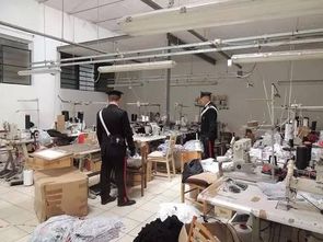 一只老鼠引發(fā)的法律風(fēng)暴 意大利華人老板娘被捕背后的警示