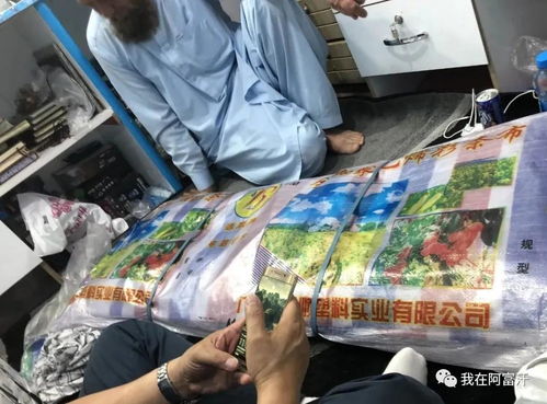 阿富汗的工業廢墟 戰爭陰影下的法律與重建困境